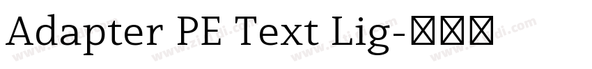 Adapter PE Text Lig字体转换